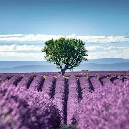 Кемпинг 3* / Gorges Du Verdon / Pour 2 Pers/ Lavande / Activites/a 2 Mn Du De Ste Croixi *